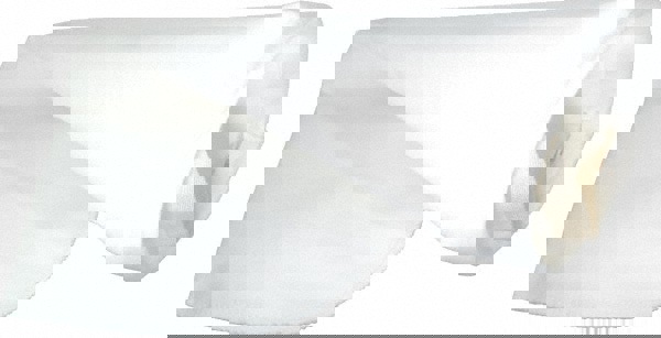 10 Micron, Size 2, High Flow Bag Filter